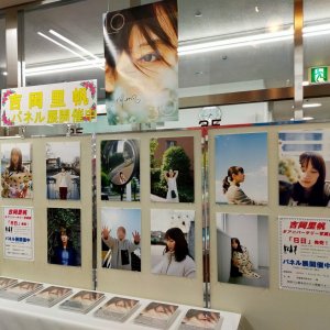 【総本店にて】吉岡里帆さん写真集発売記念パネル展開催‼